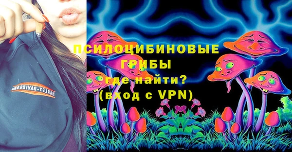 прущие грибы Бугульма