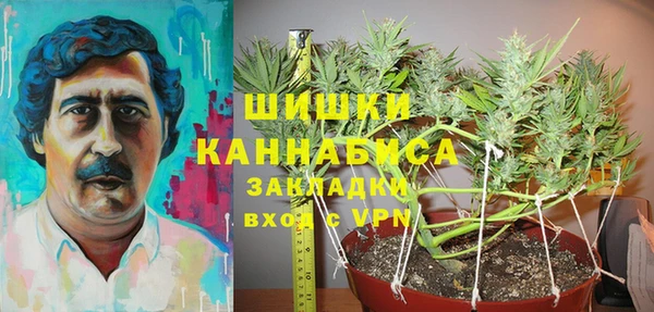 прущие грибы Бугульма