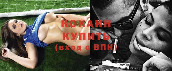 ешки Бронницы