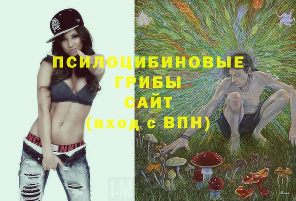 молекула духа Богородицк