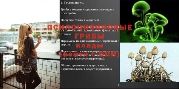прущие грибы Бугульма