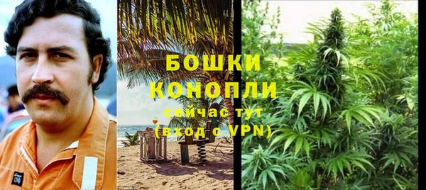 молекула духа Богородицк