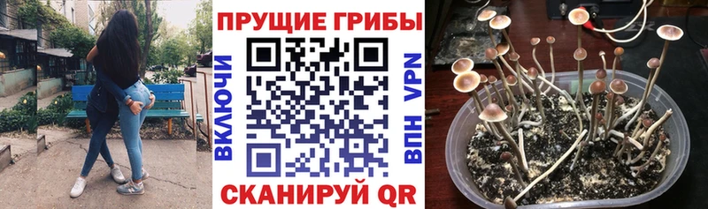 Псилоцибиновые грибы Magic Shrooms  Брянск 